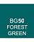 Touch Twin BRUSH Marker Einzelstifte BRUSH - BG50 Forest Green